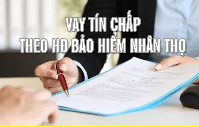 Vay tiền theo hợp đồng bảo hiểm là gì?