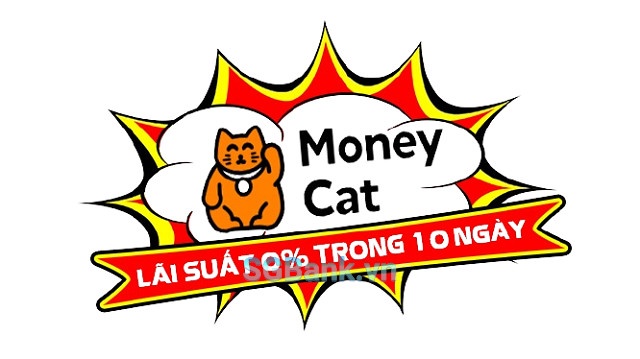 moneycat