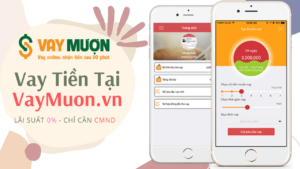 VayMuon