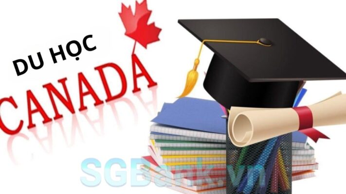 Vay tiền du học Canada 1